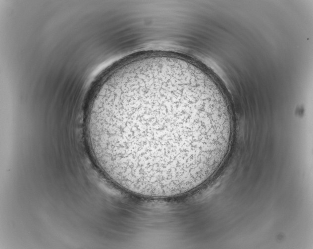 X0000093110971200710241238