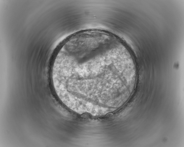 X0000093110975200710241238