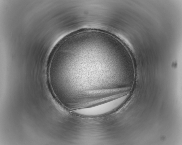 X0000093110976200710241238