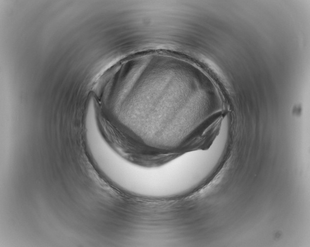 X0000093110977200710241238