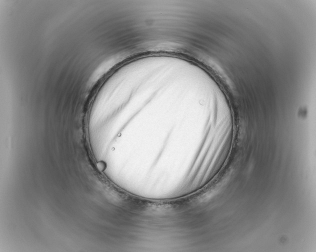 X0000093110978200710241238