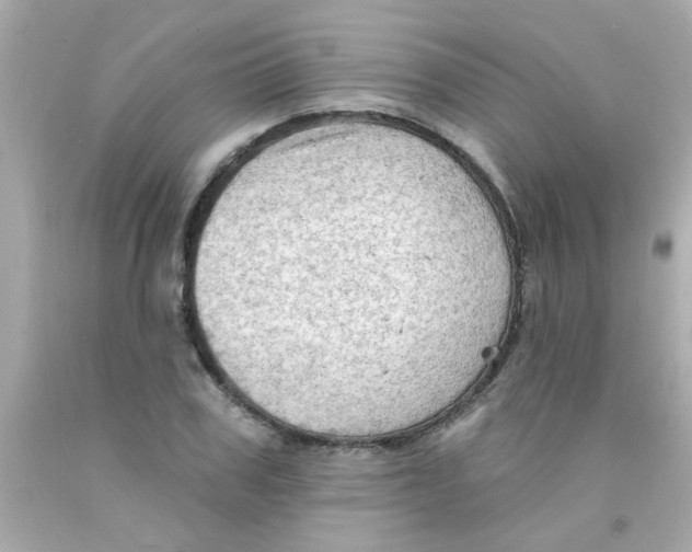 X0000093110979200710241238