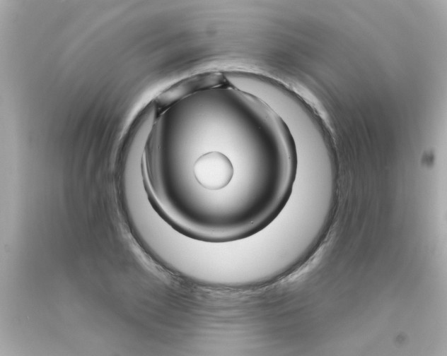 X0000093110981200710241238