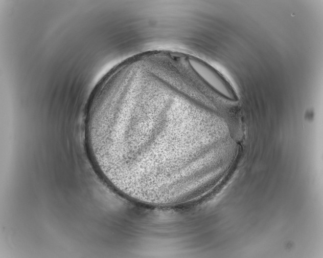 X0000093110983200710241238