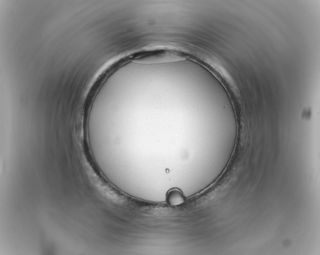 X0000093110984200710241238