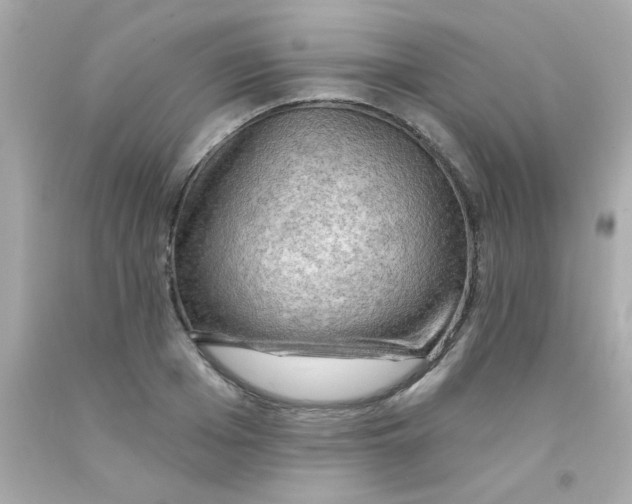 X0000093110985200710241238