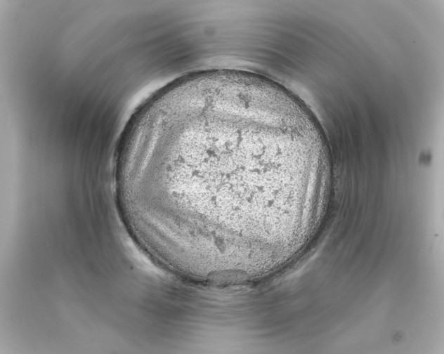 X0000093110987200710241238