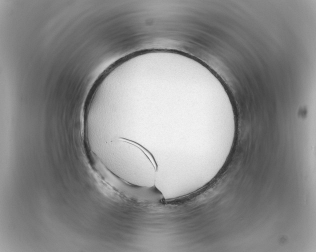 X0000093110988200710241238