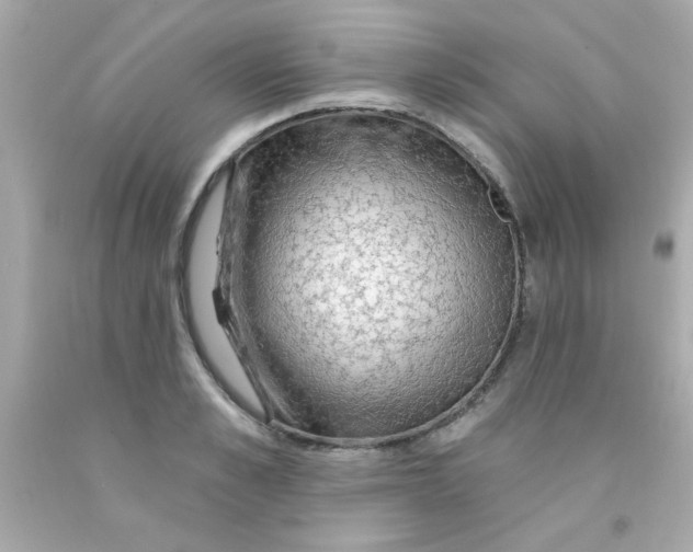 X0000093110989200710241238