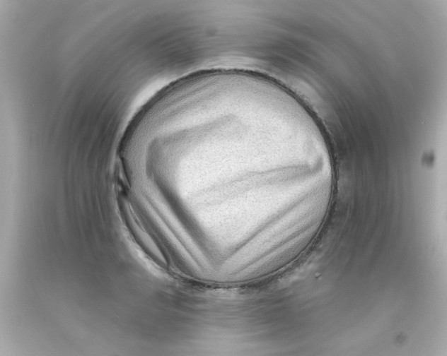 X0000093110990200710241238