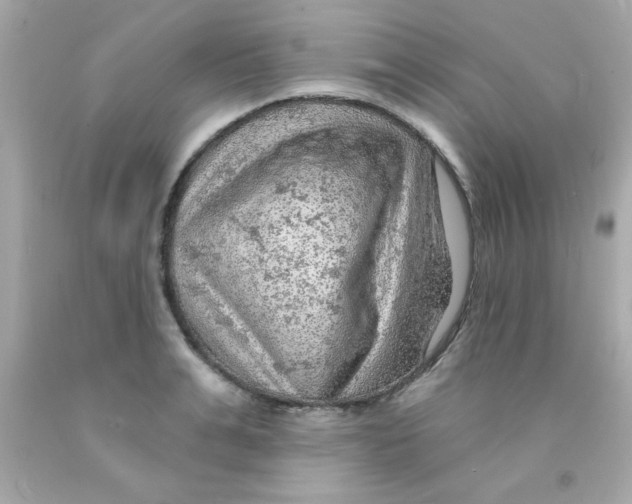 X0000093110991200710241238