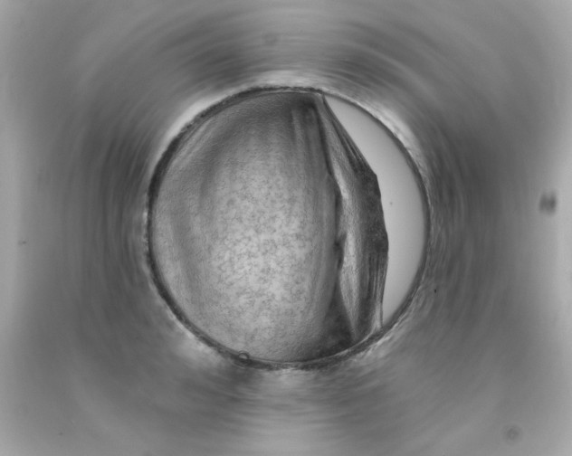 X0000093110992200710241238