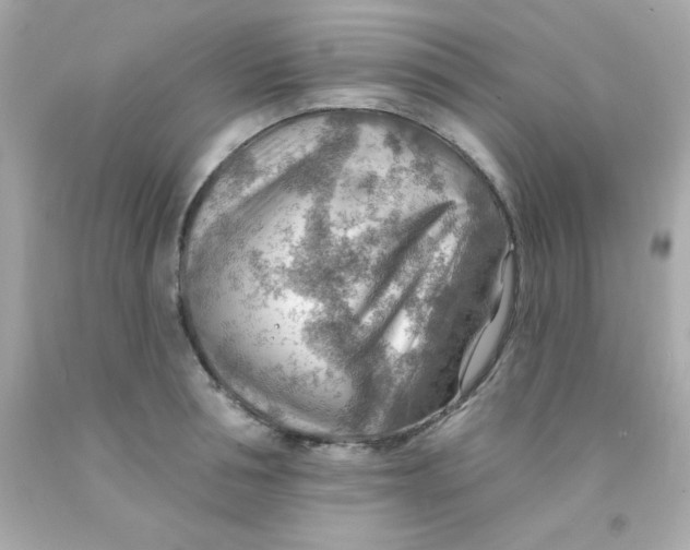 X0000093110994200710241238