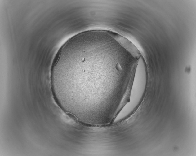 X0000093110996200710241238