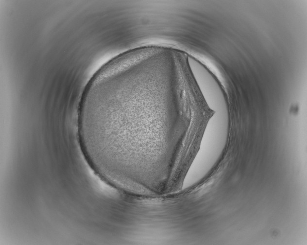 X0000093110999200710241238