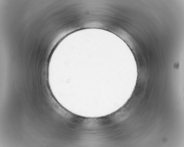 X0000093111000200710241238