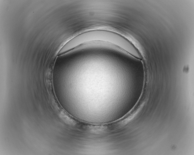 X0000093111001200710241238