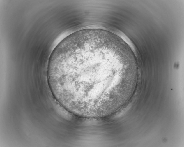 X0000093111002200710241238