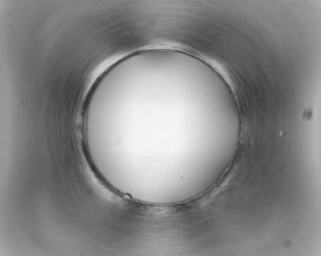 X0000093111003200710241238