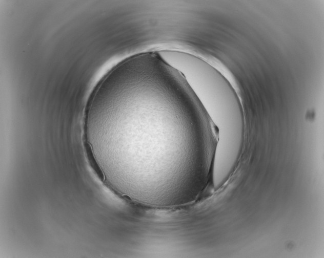 X0000093111005200710241238