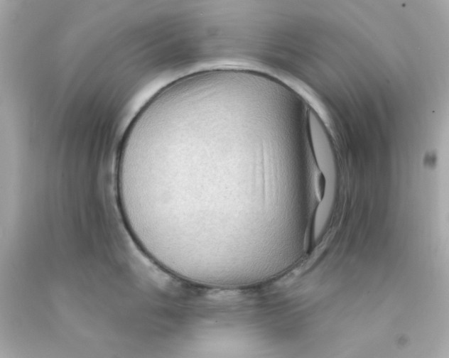 X0000093111006200710241238