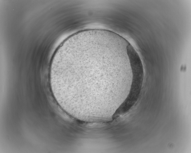 X0000093111008200710241238