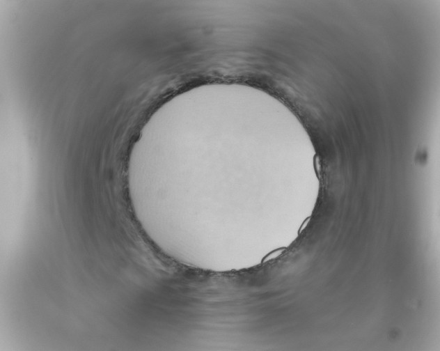 X0000093111009200710241237