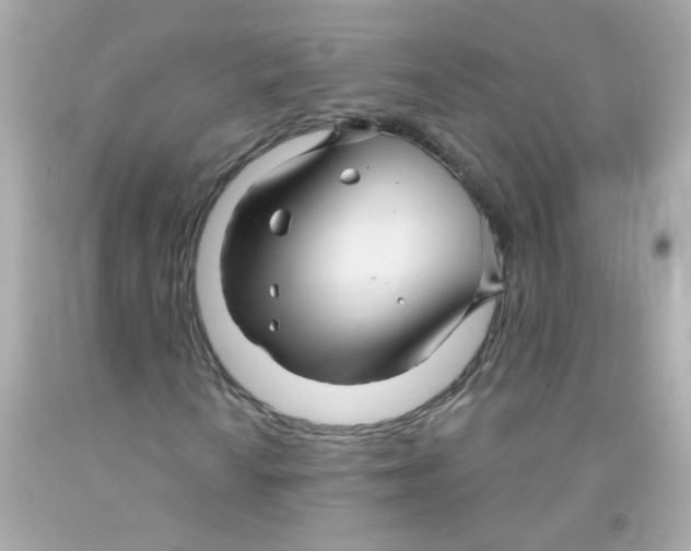 X0000093111010200710241237