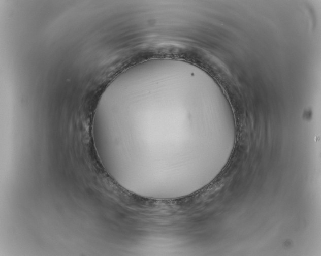 X0000093111013200710241237