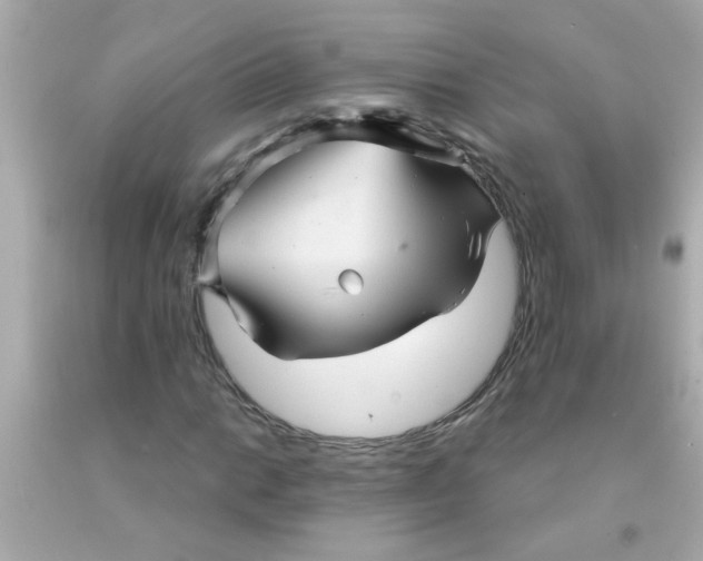 X0000093111014200710241237