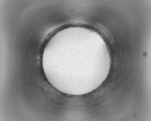 X0000093111016200710241237