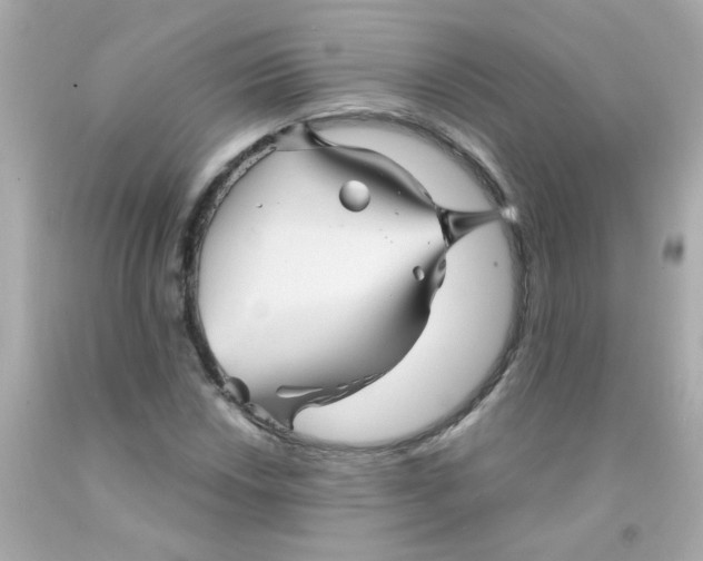 X0000093111018200710241237