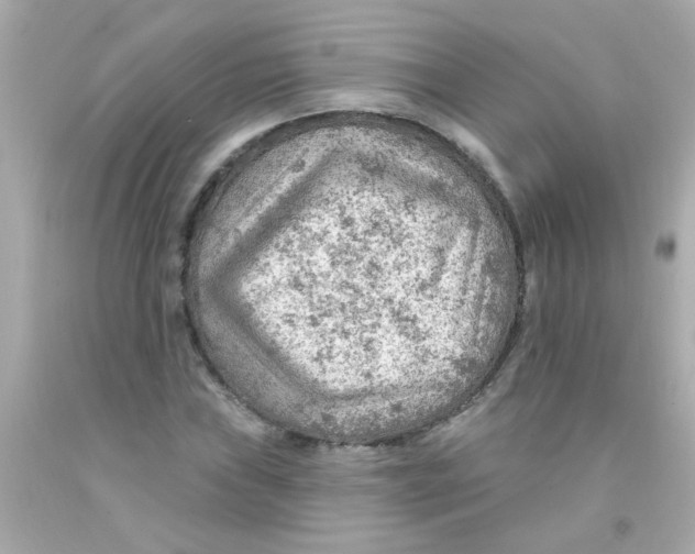 X0000093111019200710241237