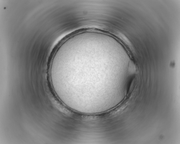 X0000093111020200710241237