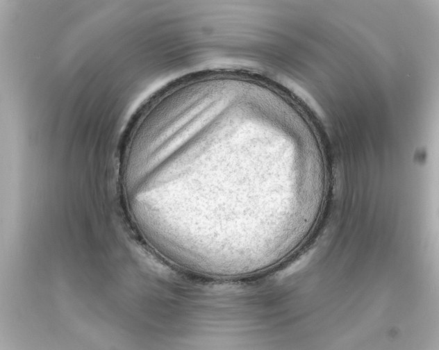 X0000093111021200710241237