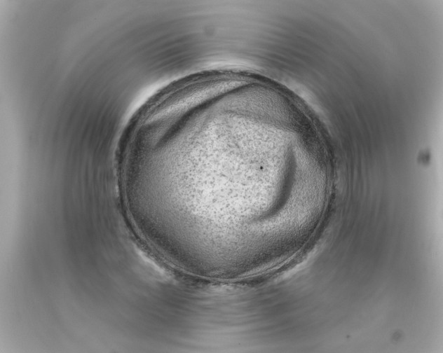 X0000093111022200710241237