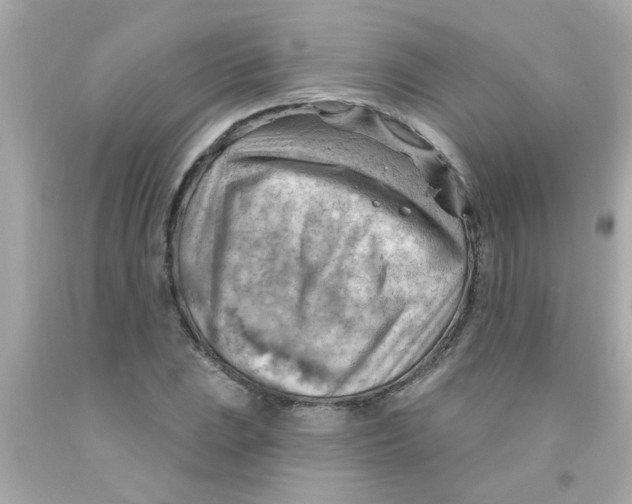 X0000093111023200710241237