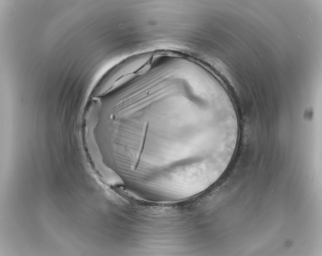 X0000093111024200710241237