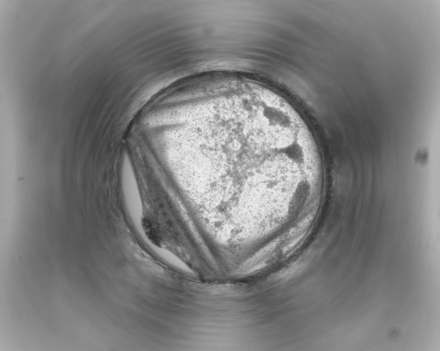 X0000093111025200710241237