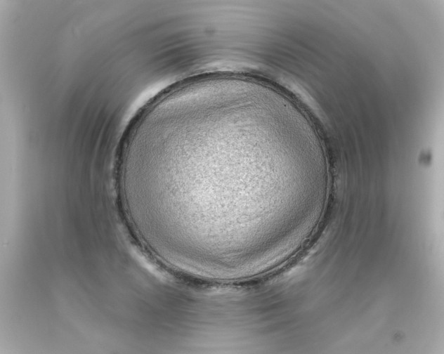 X0000093111026200710241237