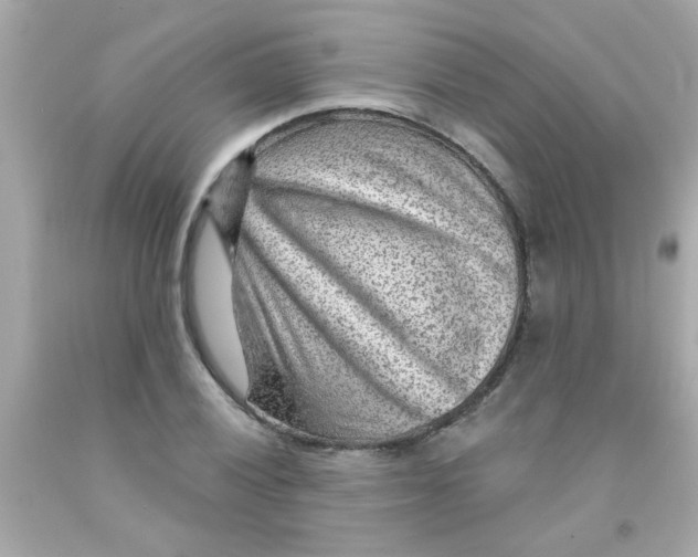 X0000093111028200710241237