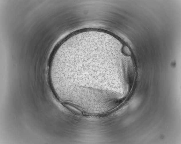 X0000093111029200710241237