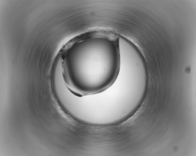 X0000093111030200710241237