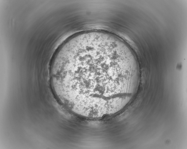 X0000093111031200710241237