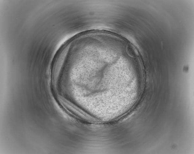 X0000093111032200710241238