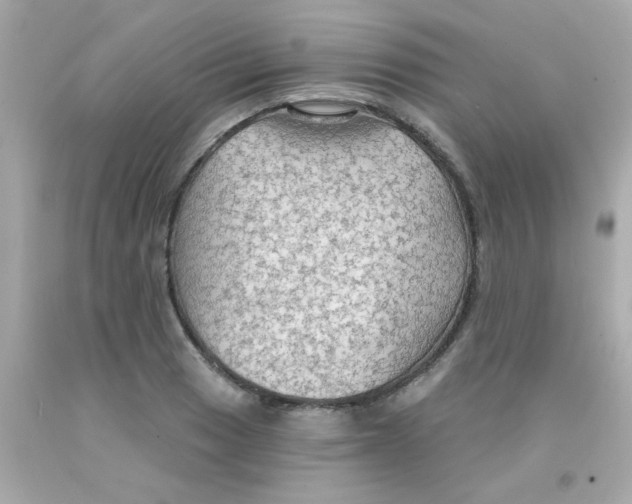 X0000093111033200710241238