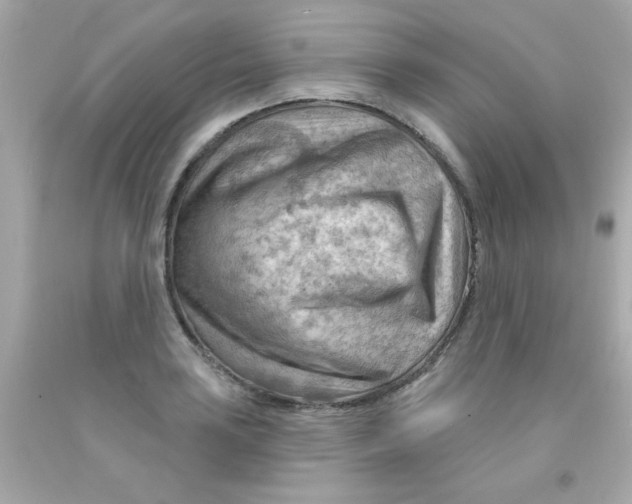 X0000093111035200710241238