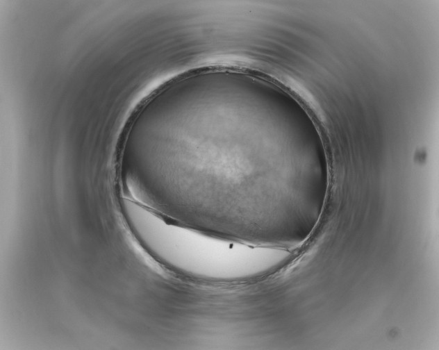 X0000093111037200710241238