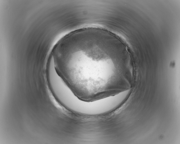 X0000093111038200710241238