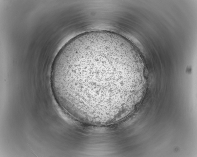 X0000093111039200710241238